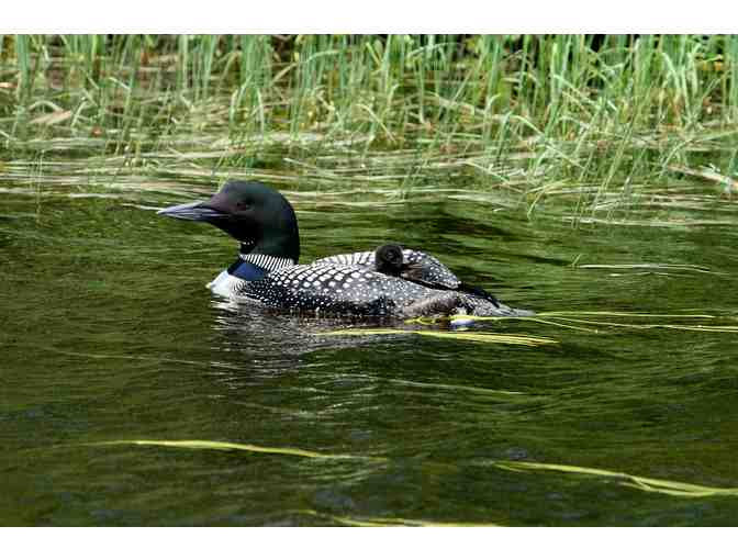 The Loon Family Story in photos