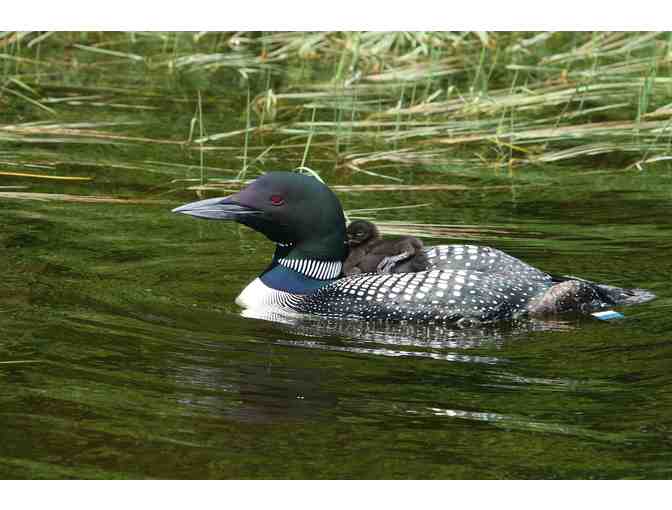 The Loon Family Story in photos