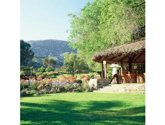 Rancho La Puerta One-Week Spa Retreat