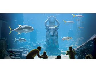 Atlantis- Four Nights, Paradise Island, Bahamas
