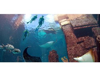 Atlantis- Four Nights, Paradise Island, Bahamas