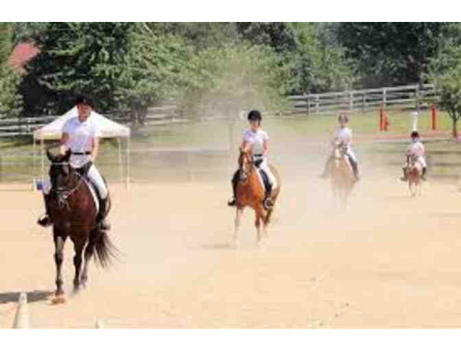 Reddemeade Equestrian Center - 1 month (4 sessions) horse riding lessons $295 value