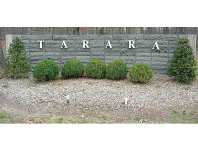 Tarara Winery - 3 tasting passes for 6 people in Leesburg, Virginia