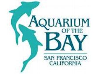 Love San Francisco? Yes Wyndham, the Aquarium & the Forest!