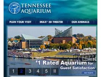 Tennessee Aquarium, Discovery Museum & Dinner only in Chattanooga!