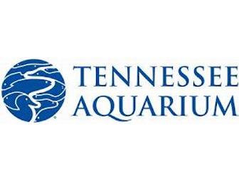 Tennessee Aquarium, Discovery Museum & Dinner only in Chattanooga!