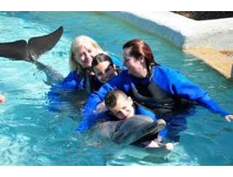 Quiet Miami Getaway! Suite-Dolphin-Reef Encounters-Gardens visit!