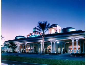 Wyndham Tampa Westshore! Movies & Pasta TOO!