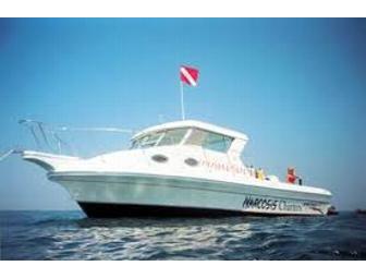 Adventure Cruise & Diving? Only in Tarpon Springs Florida