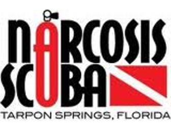 Adventure Cruise & Diving? Only in Tarpon Springs Florida