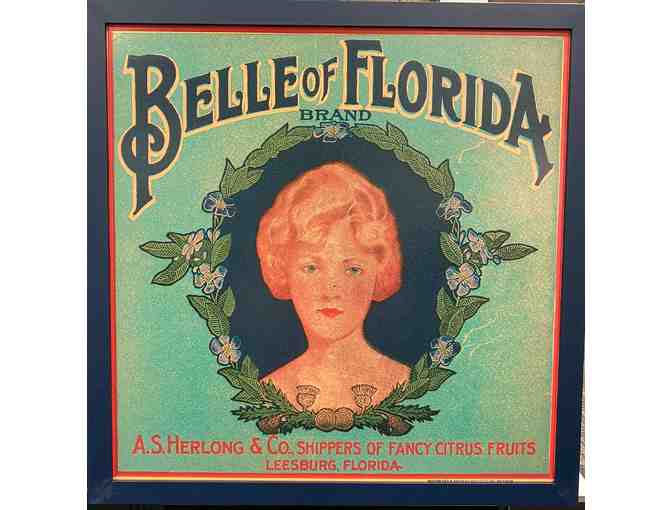26" Enlarged Label Print Framed - Belle of Florida - Photo 1