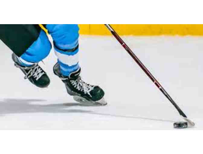 Jacksonville Ice and Sports Plex Hockey Lessons - Photo 1