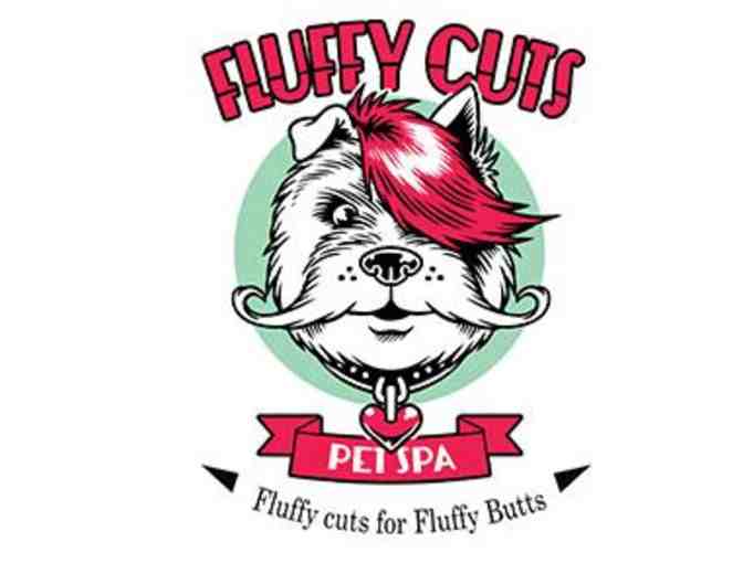 Fluffy Cuts Grooming $500 Gift Certificate