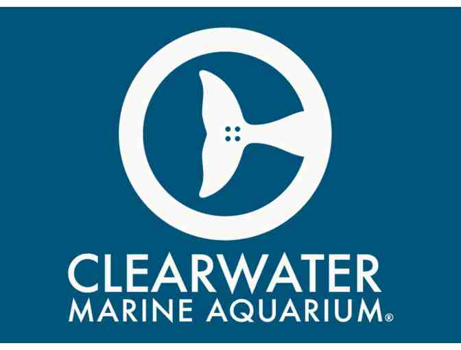 Clearwater Marine Aquarium Admission Passes - Photo 1