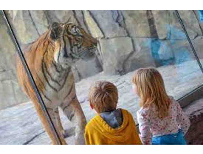 4 General Admission Tickets to the Jacksonville Zoo