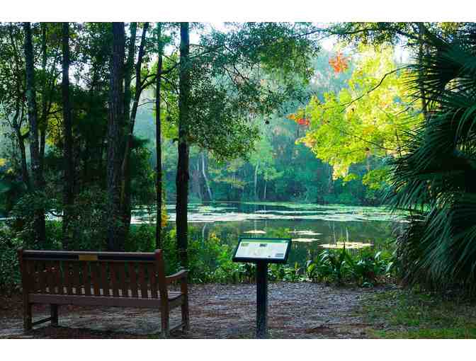 Tour of the Jacksonville Arboretum & Botanical Gardens featuring a Master Naturalist