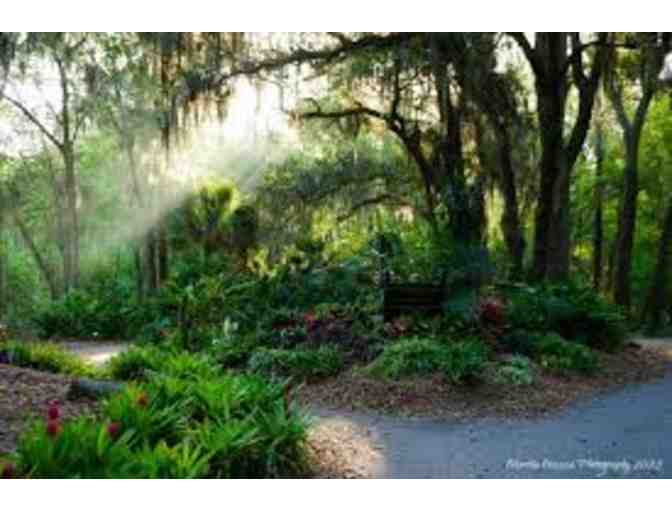 Tour of the Jacksonville Arboretum & Botanical Gardens featuring a Master Naturalist