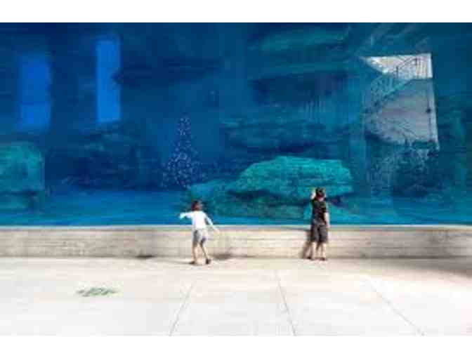 4 General Admission Tickets To Clearwater Marine Aquarium