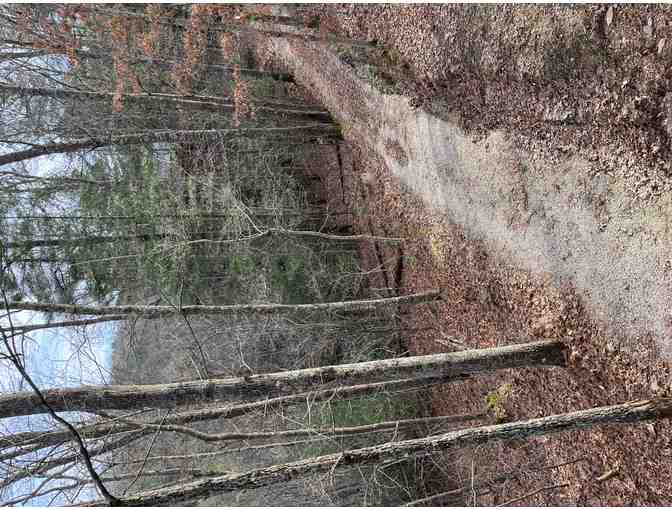 Red River Gorge Weekday Getaway for 3 Nights for 10 People