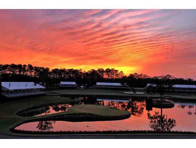 Wednesday-The PLAYERS Championship 2025 - Photo 2