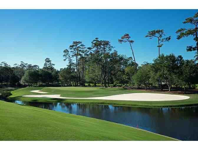 Foursome of Golf at Sawgrass Country Club with Tom Bolling - Photo 1