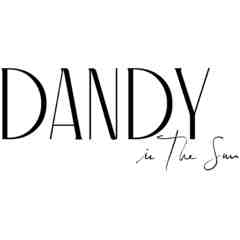 Dandy In The Sun, LLC (Drs Karthik & Aneesa Krishnamurthy)