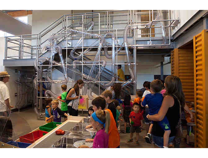 Scott Family Amazeum