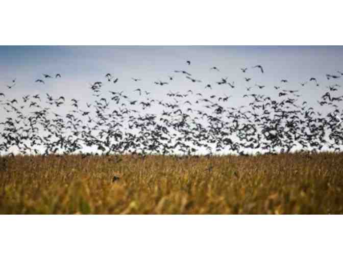 South Africa Hunting Safari for Two (2) Hunters - 6 Full Days