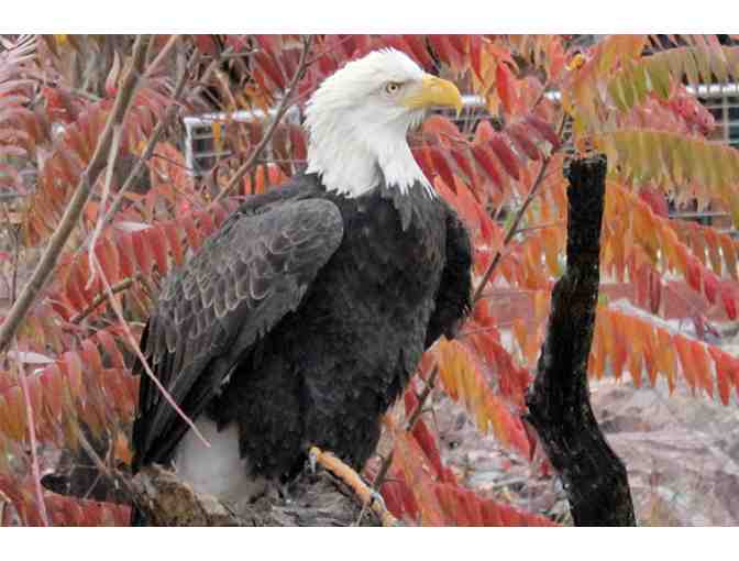 National Mississippi River Museum