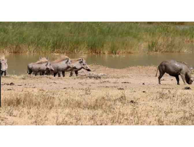South Africa Hunting Safari for Two (2) Hunters - 6 Full Days