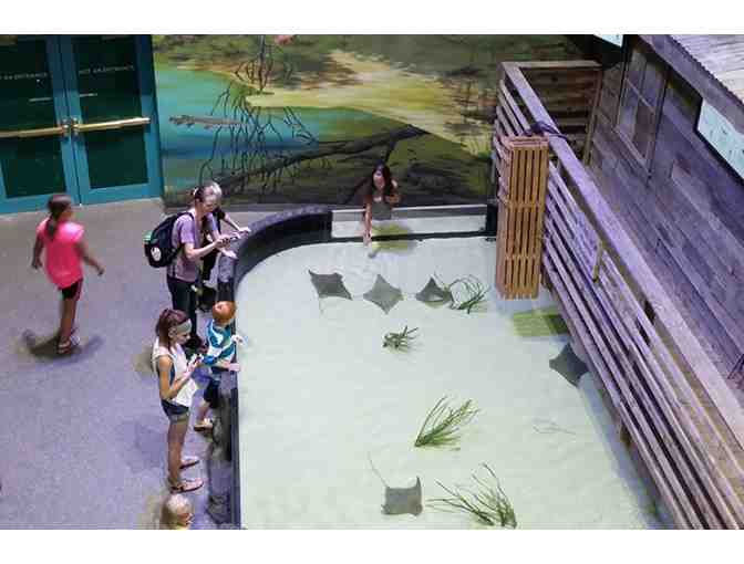 National Mississippi River Museum