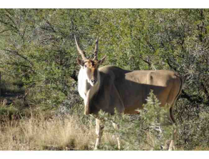South Africa Hunting Safari for Two (2) Hunters - 6 Full Days