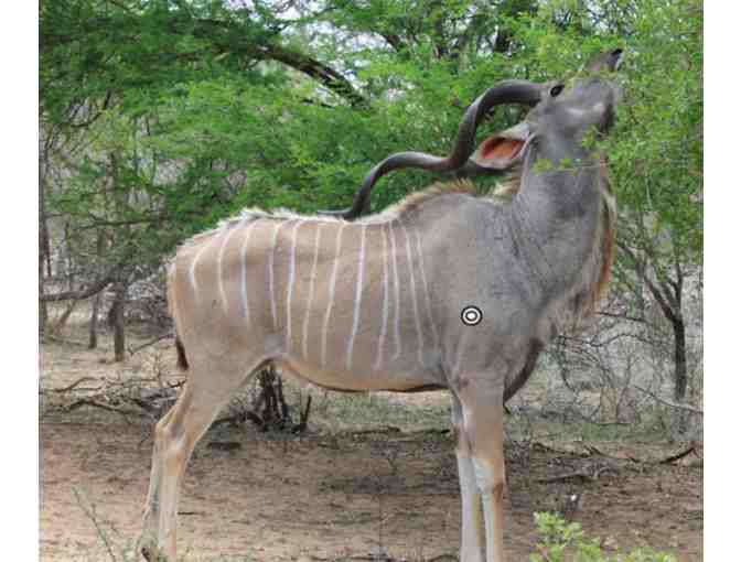 South Africa Hunting Safari for Two (2) Hunters - 6 Full Days