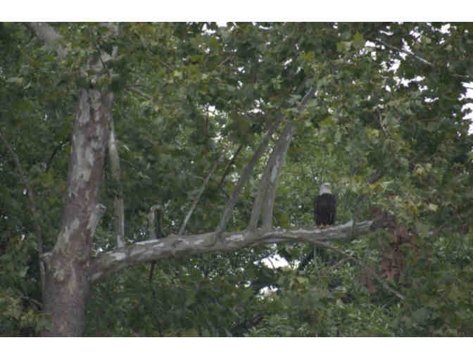 Sightseeing Cruise for Two