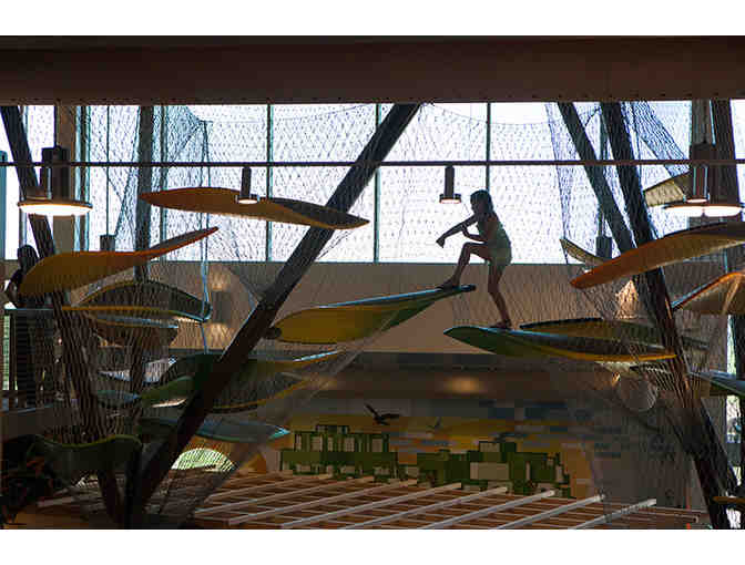 Scott Family Amazeum- 4 passes