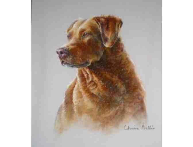 Custom Pastel Portrait of a Dog or Cat by Christine Billis