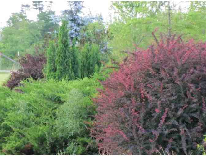 Greenhaven Gardens & Nursery - $30 Gift Certificate