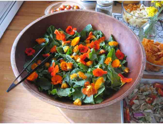 Metta Earth Institute Yurt Retreat