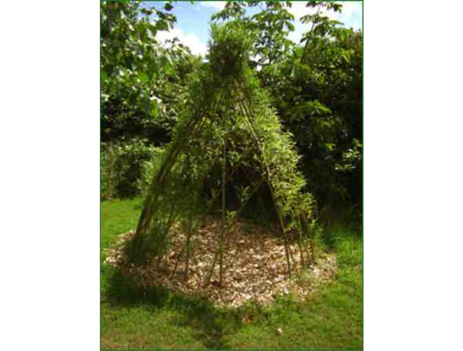 Living Willow TeePee Kit from Vermont Willow Nursery