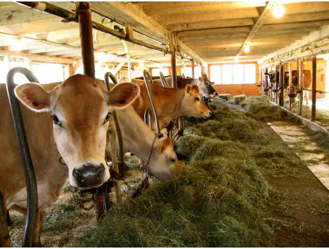 Orb Weaver Farm Tour Plus 2lb Wheel of Cheese