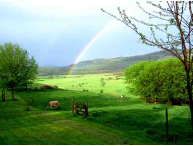 Orb Weaver Farm Tour Plus 2lb Wheel of Cheese