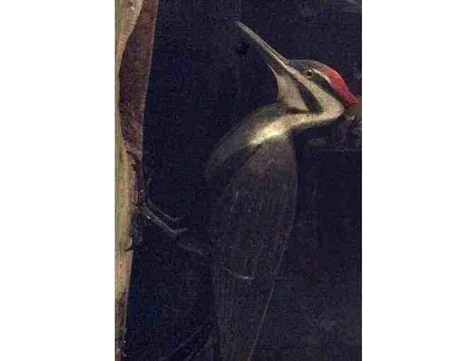 Pileated Woodcarving Class and Passes to Birds of Vermont Museum
