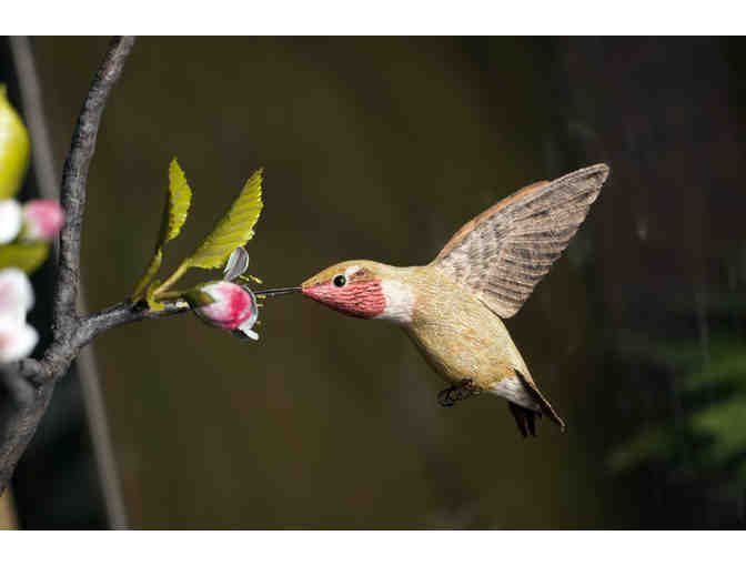 Pileated Woodcarving Class and Passes to Birds of Vermont Museum