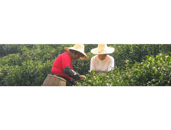 Stone Leaf Teahouse $25 Gift Certificate