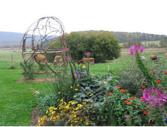 Orb Weaver Farm Tour Plus 2lb Wheel of Cheese