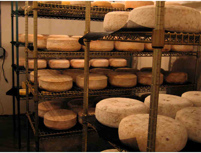 Orb Weaver Farm Tour Plus 2lb Wheel of Cheese