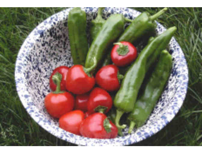 Italian Culinary Garden from Pleasant Mount Farm Certified Organic Greenhouse