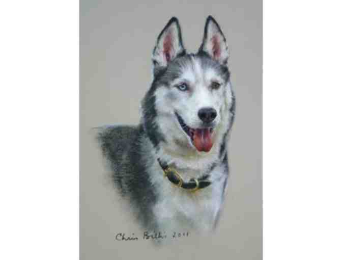 Custom Pastel Portrait of a Dog or Cat by Christine Billis