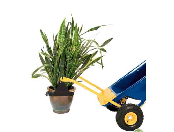 Little Mule Multi Cart