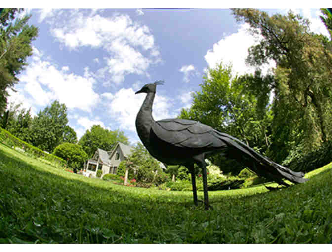 20th Annual Flynn Garden Tour Features Gardens in Hinesburg - Pair of Tickets